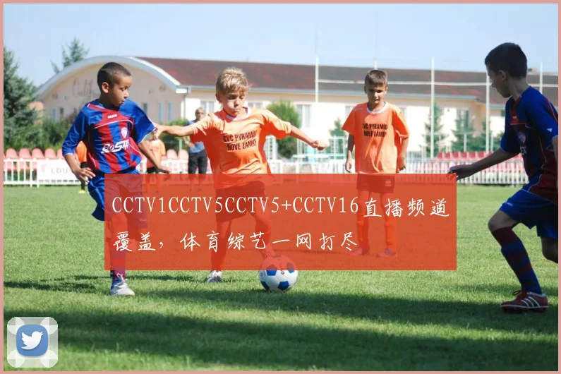 CCTV1CCTV5CCTV5+CCTV16直播频道覆盖，体育综艺一网打尽