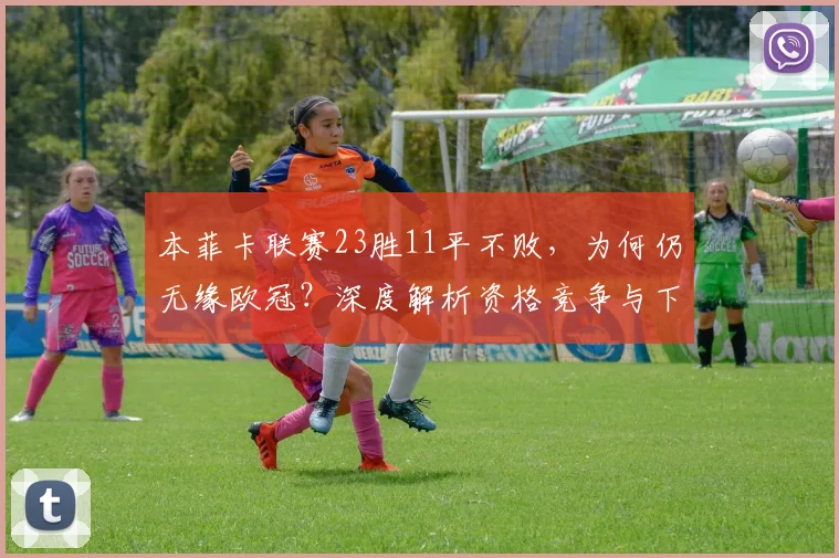 本菲卡联赛23胜11平不败,为何仍无缘欧冠?深度解析资格竞争与下赛季前景
