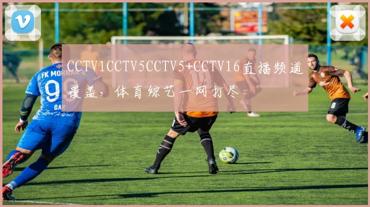CCTV1CCTV5CCTV5+CCTV16直播频道覆盖，体育综艺一网打尽